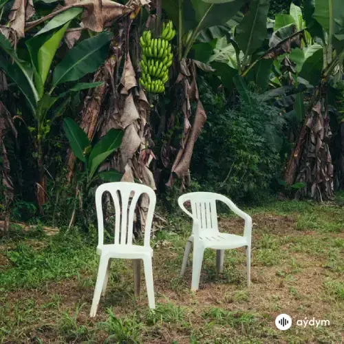 Bad Bunny  - DtMF