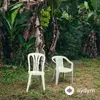 Bad Bunny  - DtMF