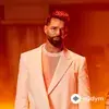 Ricky Martin - Livin' la Vida Loca