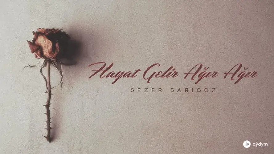 Hayat Gelir Ağır Ağır