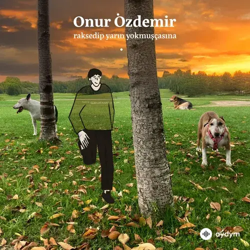 Onur  Özdemir - İlk Yara