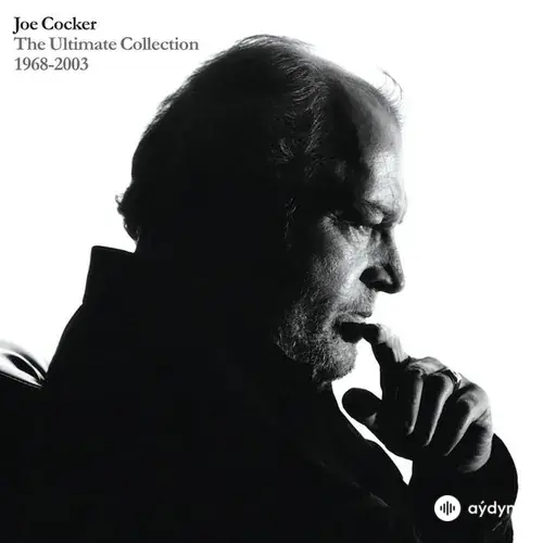 Joe Cocker  - Summer In The City