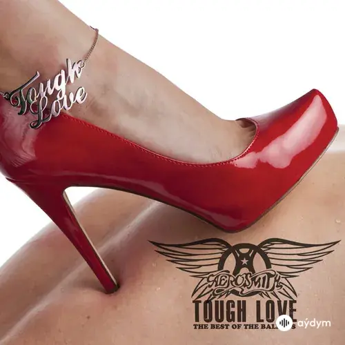 Aerosmith  - Angel