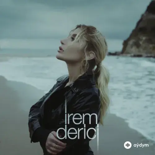 Sabıka Kaydı (2018)