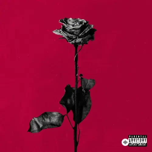 Blackbear  - idfc