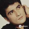 Ibrahim Erkal - Avuçlarımda Tutamadım