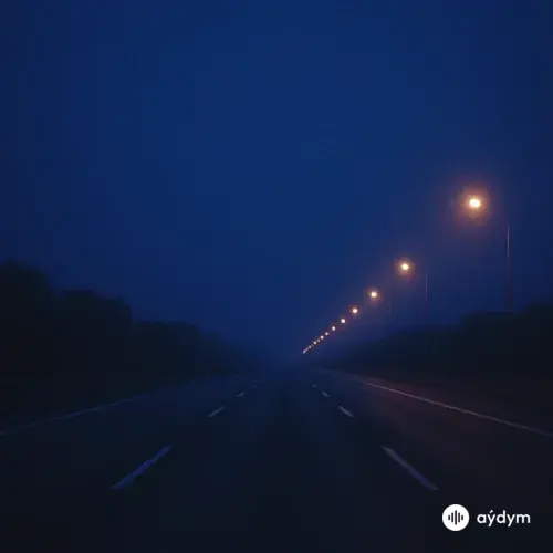 Песни для поездок