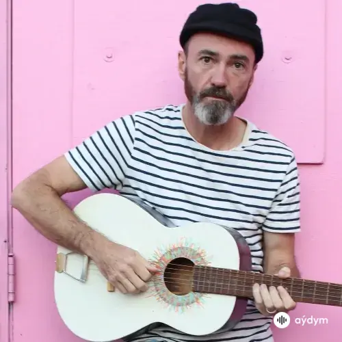 The Shins 
