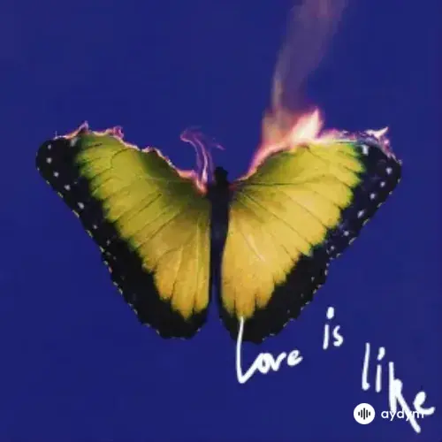 Love Is Like