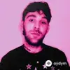 Yung Bae-BabyNoMoney (Bbno$) -Billy Marchiafava - Bad Boy