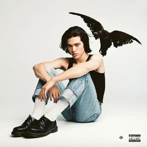 Conan Gray - Heather