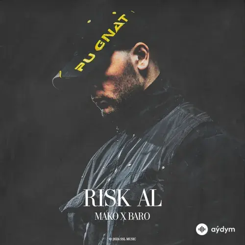 Mako-Baro  - Risk Al