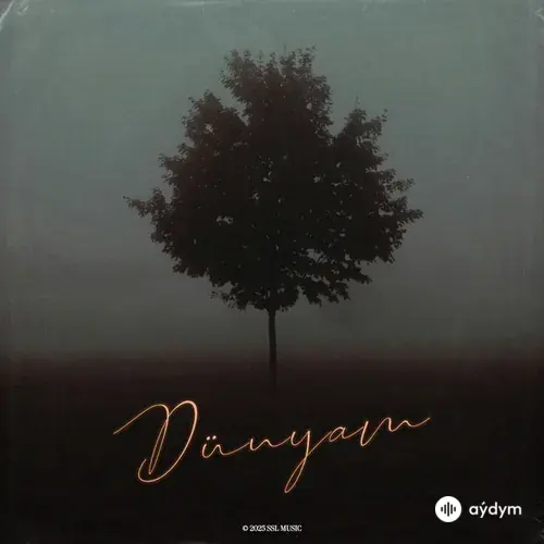 Aphe -Baro  - Dünyam