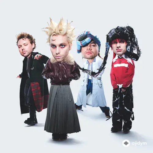 5 Seconds Of Summer  - Not Ok