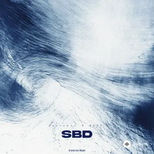 Zeynepsu -Baro  - SBD