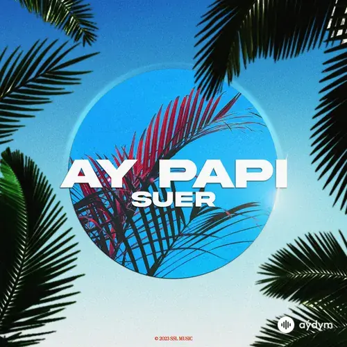 Suer  - Ay Papi