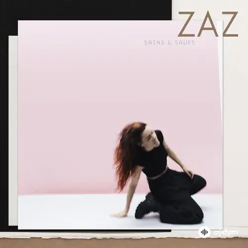 Zaz - J'imagine que tu sais