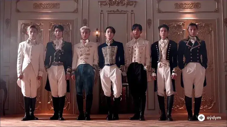 Fever Official MV