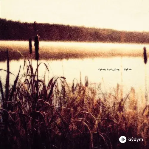 Johan Agebjörn - Will They Forgive Us