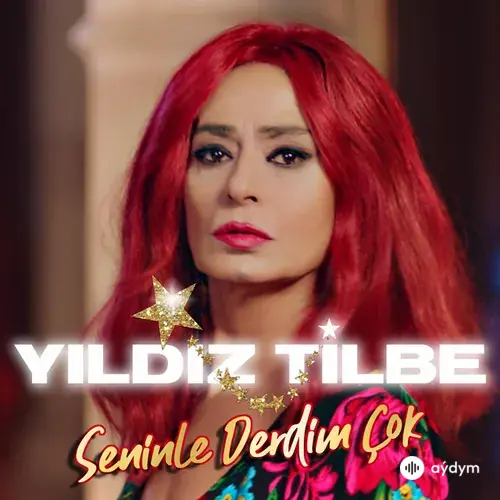 Seninle Derdim Çok
