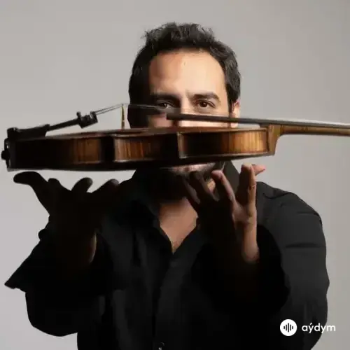 Erdem Altınses
