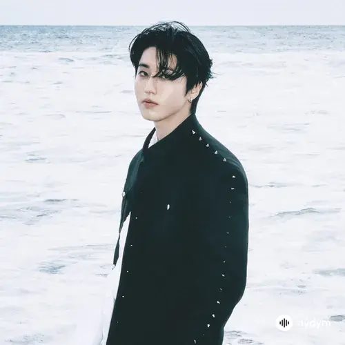 Han (Stray Kids)