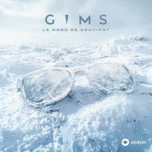 Gims  - Sois Pas Timide