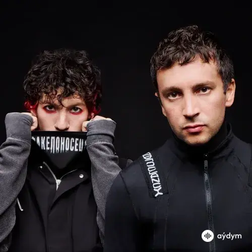 Twenty One Pilots 
