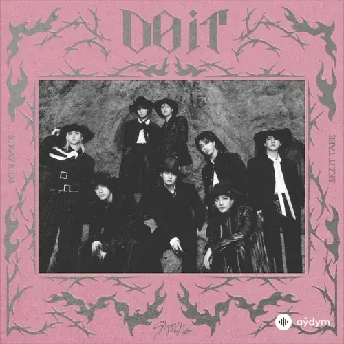 Stray Kids  - Do It