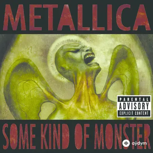 Some Kind Of Monster (Live)