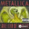 Metallica - Some Kind Of Monster