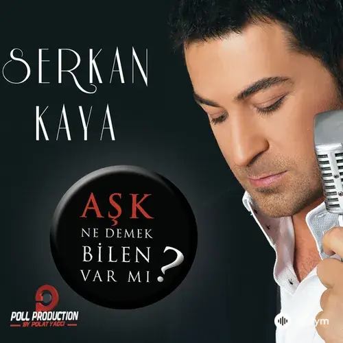 Serkan Kaya - Sevemiyorum