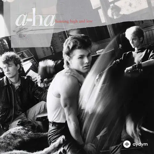 Hunting High And Low (30th Anniversary Edition)