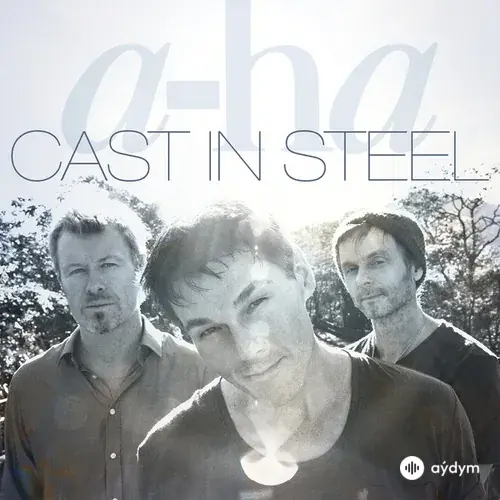 Cast In Steel