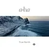 A-ha  - I'm In