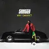 Shaggy - Caribbean Way