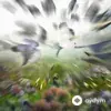 Imogen Heap-Dan O'Neill - Anatomy Of An Album, Vol. II