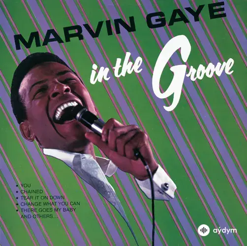 In The Groove