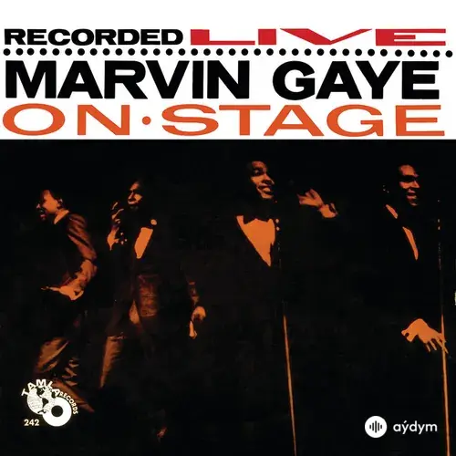 Recorded Live: Marvin Gaye On Stage