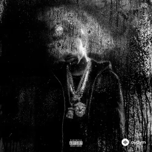 Dark Sky Paradise
