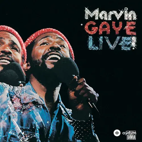 Marvin Gaye Live!