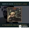 Marvin Gaye - Midnight Lady