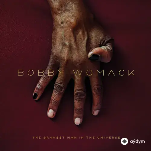 Bobby  Womack - Please Forgive My Heart