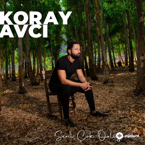 Seni Çok Özlüyorum