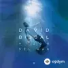 David Bisbal - Fiebre