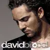David Bisbal - The Sun Ain't Gonna Shine Anymore - Spanglish Original Version