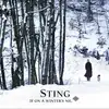 Sting - Gabriel's Message