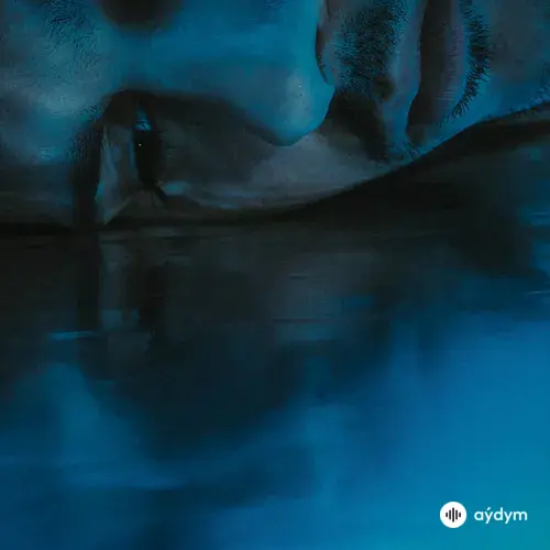 Canozan  - Aglama ben aglarim