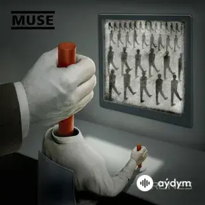 Drones