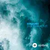 Ludovico Einaudi-Franco Feruglio-Mauro Loguercio-Gabriele Baffero-Antonello Leofreddi-Marco Decimo-Djivan Gasparyan - Yerevan